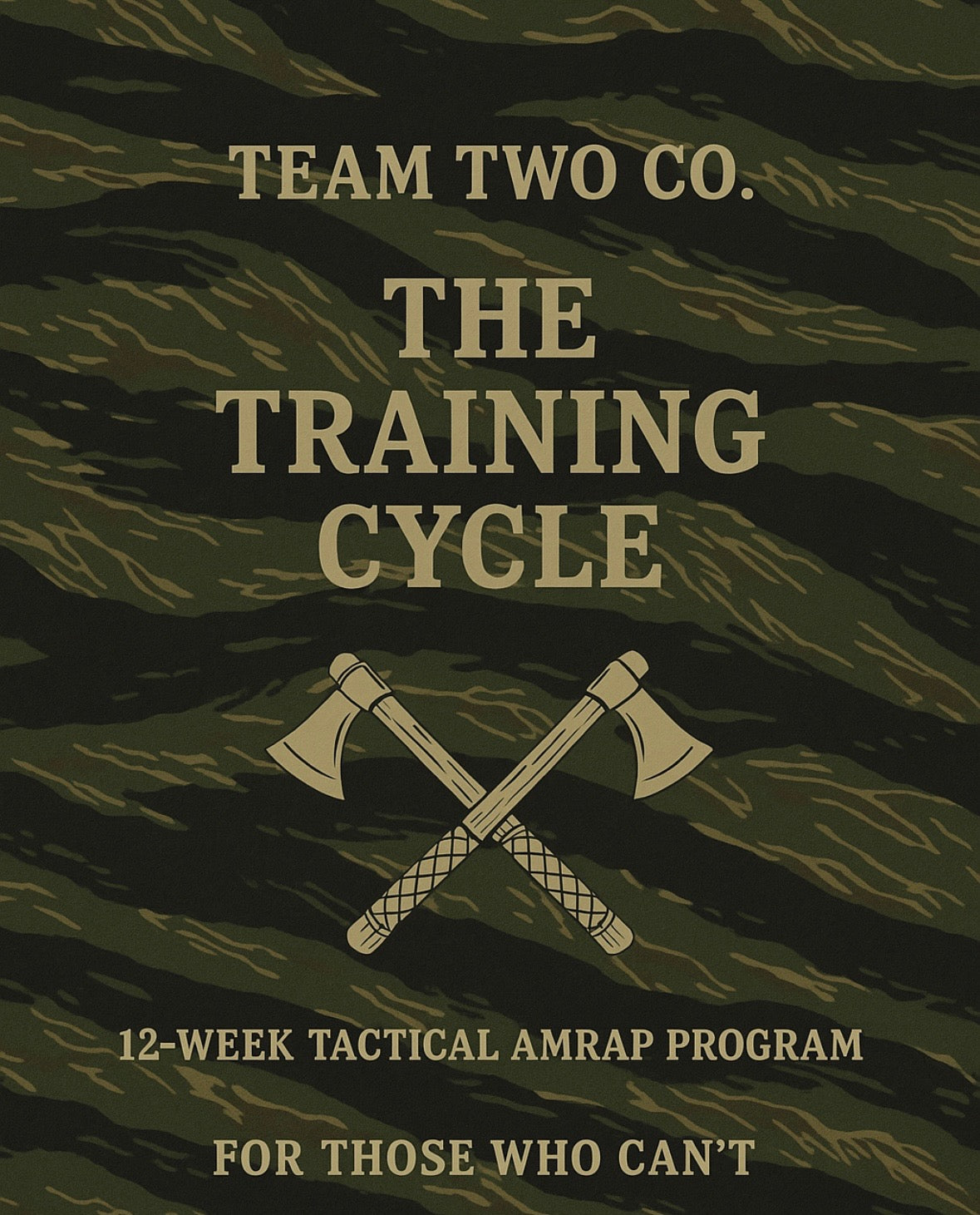 The Training Cycle